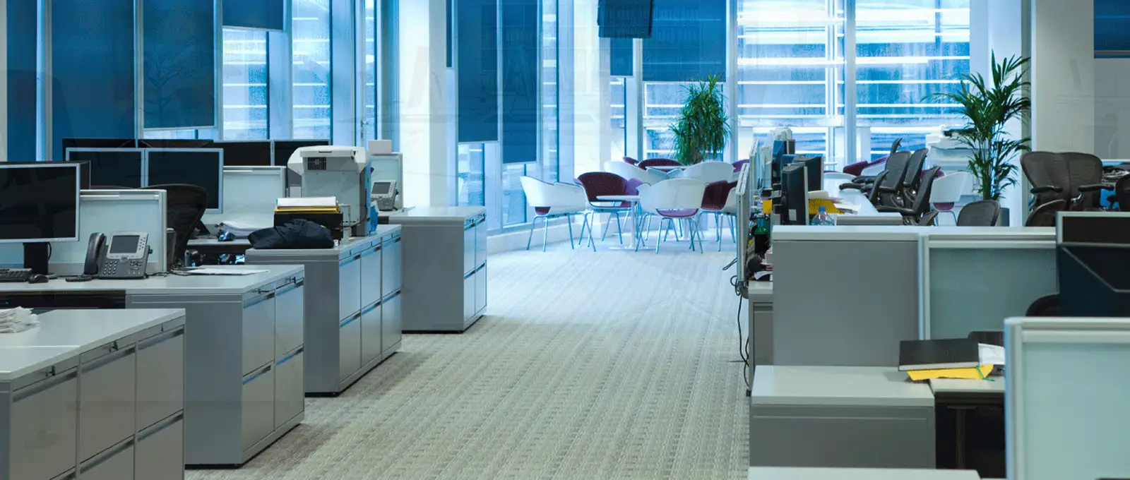 Curățenie generală profesională